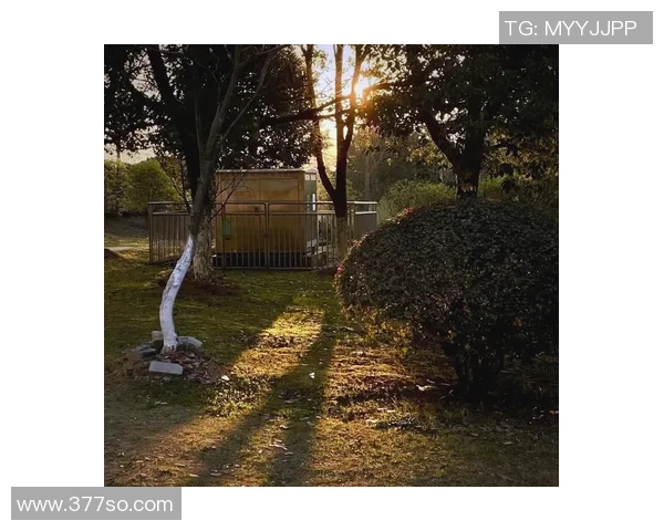 探索光影世界的奥秘:从基础技巧到高级创作的摄影艺术之旅